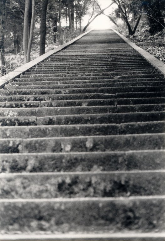 treppe1.jpg