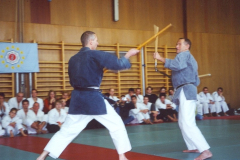 Kobudo Training in Wien 2000